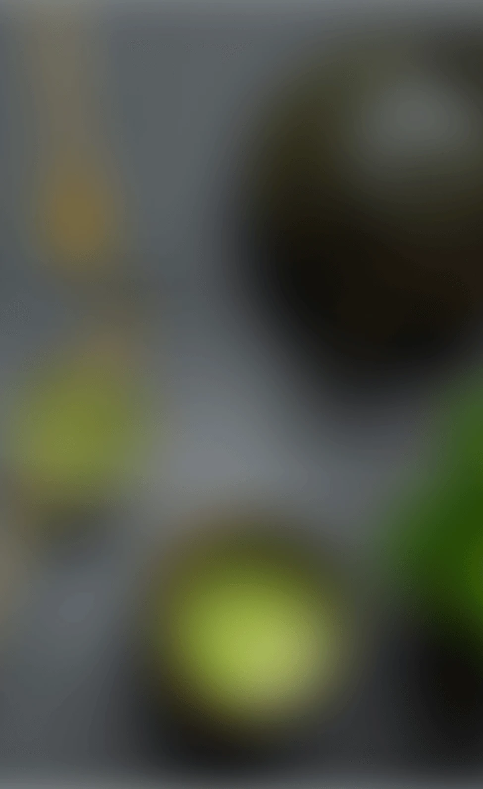 翰林餐飲集團 APP
